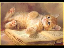 Kočička s knížkou